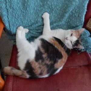 Meet your Posher, Pamela